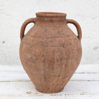 Olive Jar 854 (13x34)