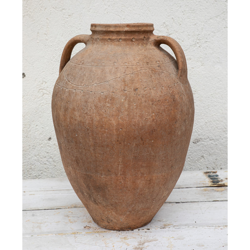 Olive Jar 872 (23x51)