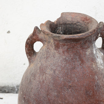 Olive Jar 877 (26x49)