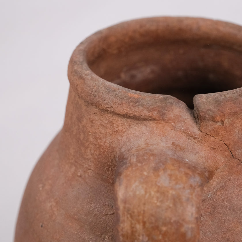 Olive Jar ZK101 (12 h x 23 c)