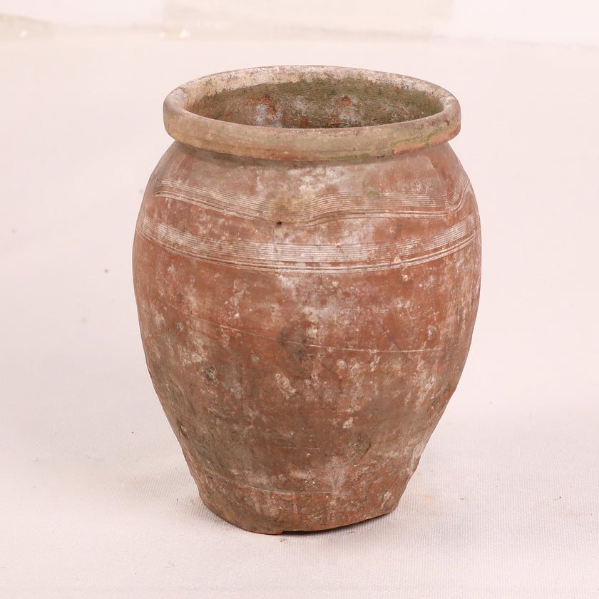 Olive Jar ZK102 (11 h x 30 c)