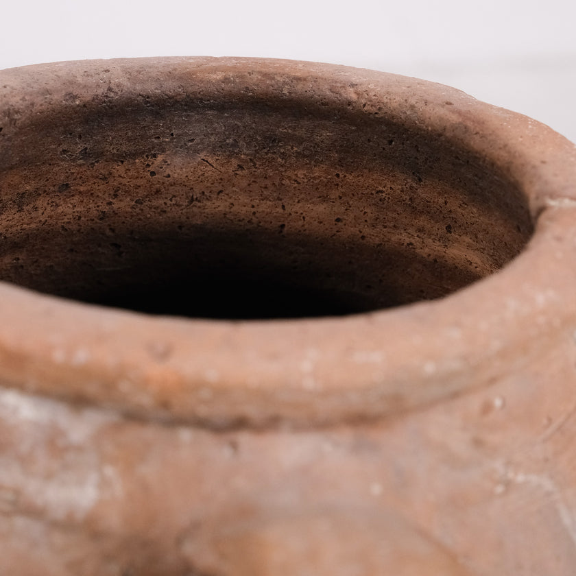Olive Jar ZK130 (19 h x 44 c)