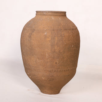 Olive Jar ZK149 (24 h x 54 c)