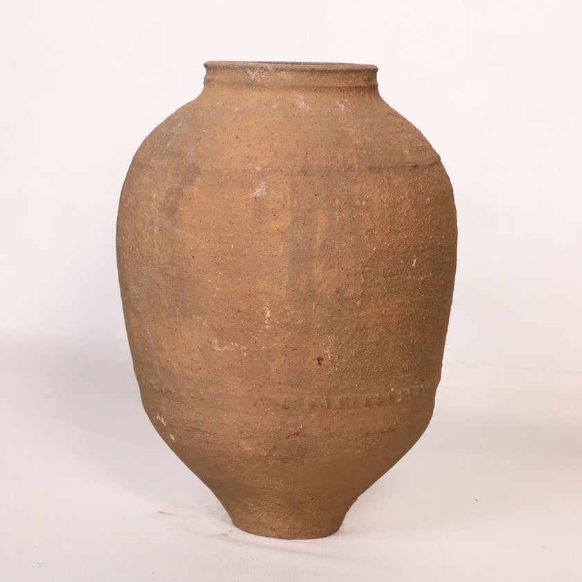 Olive Jar ZK149 (24 h x 54 c)