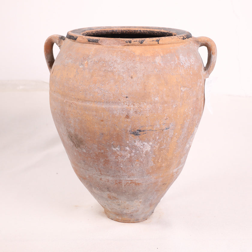 Olive Jar ZK150 (20 h x 51 c)