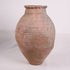 Olive Jar ZK155 (24 h x 52 c)