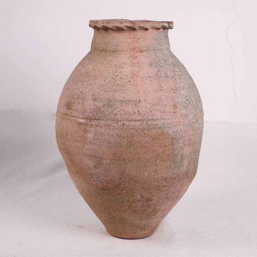 Olive Jar ZK155 (24 h x 52 c)
