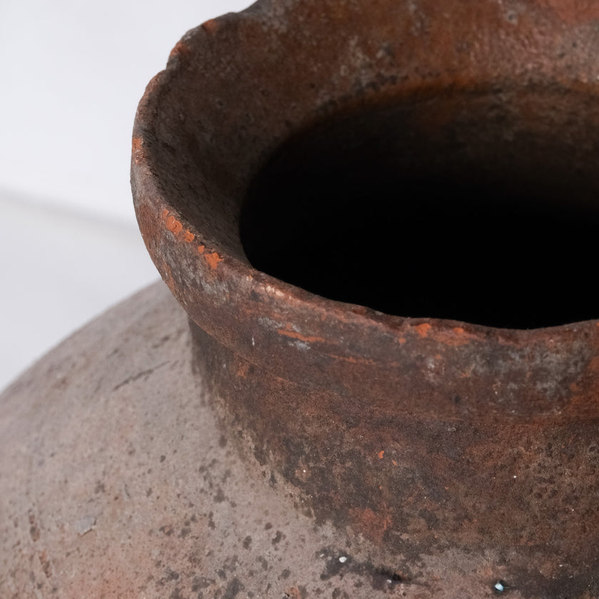 Olive Jar ZK160 (30 h x 64 c)