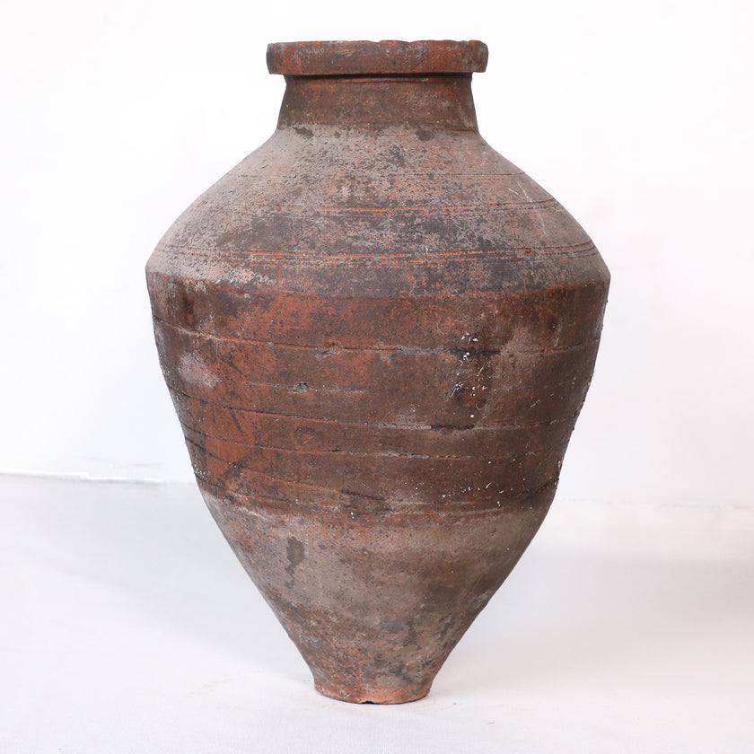Olive Jar ZK160 (30 h x 64 c)