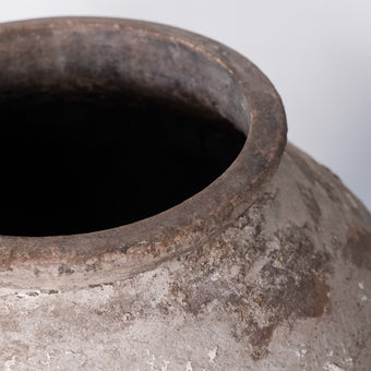 Olive Jar ZK161 (29 h x 66 c)