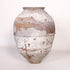 Olive Jar ZK161 (29 h x 66 c)