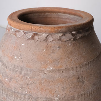 Olive Jar ZK162 (24 h x 50 c)