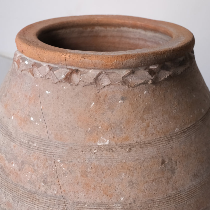 Olive Jar ZK162 (24 h x 50 c)