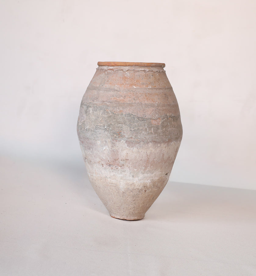 Olive Jar ZK162 (24 h x 50 c)