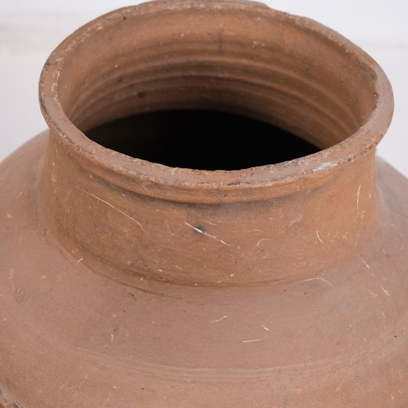 Olive Jar ZK169 (24 h x 49 c)