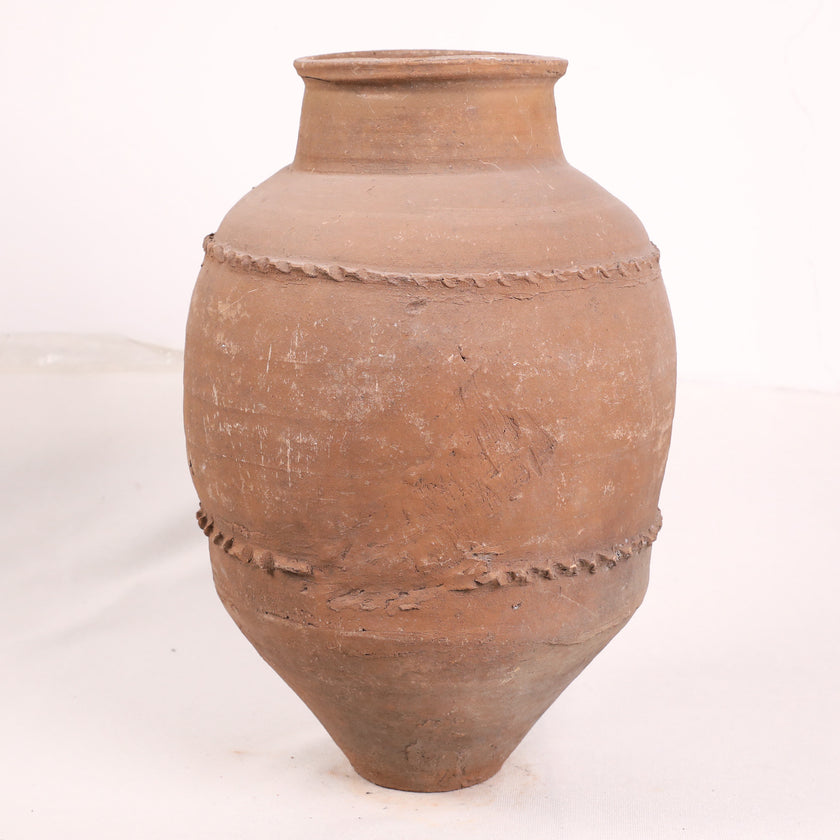 Olive Jar ZK169 (24 h x 49 c)
