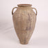 Olive Jar ZK175 (22 h x 41 c)