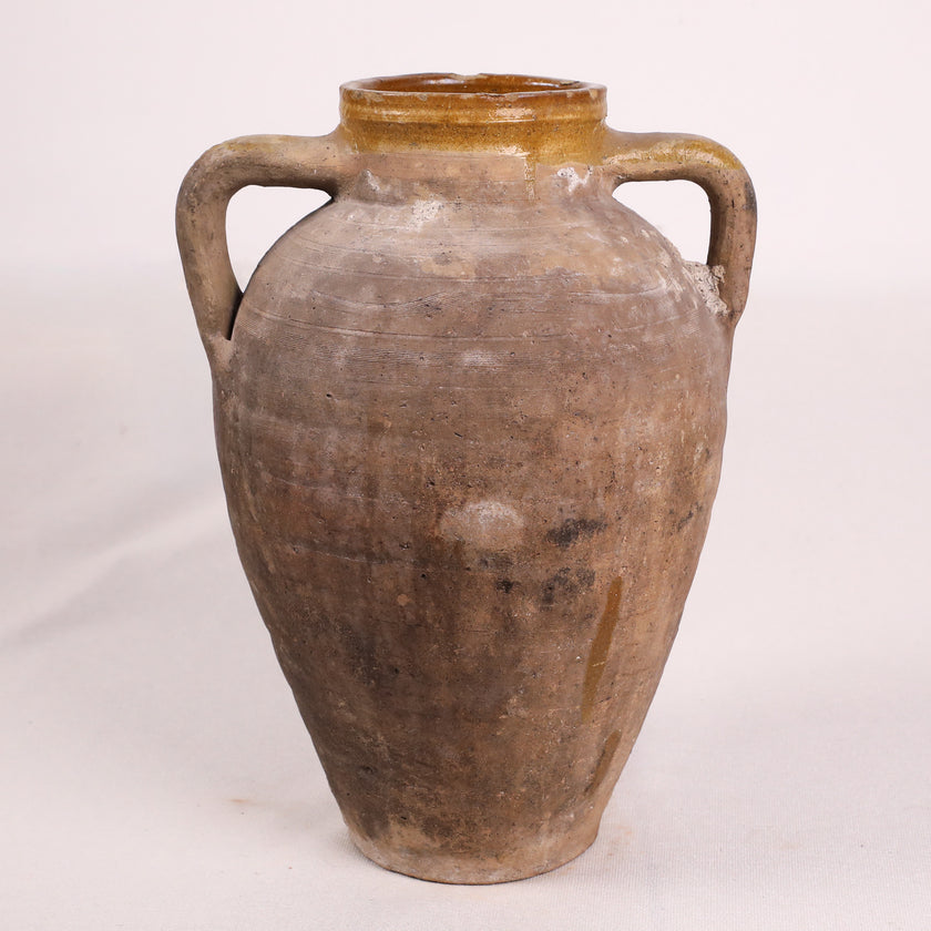 Olive Jar ZK176 (18 h x 37 c)