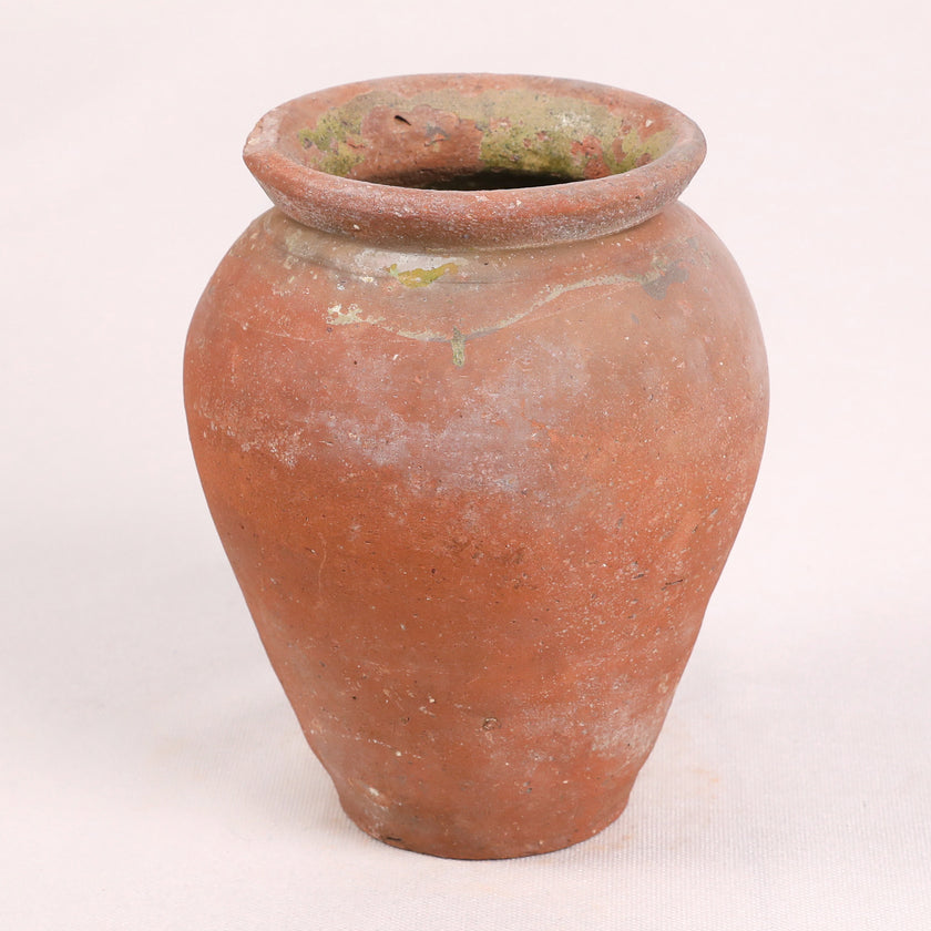Olive Jar ZK187 (10 h x 27 c)