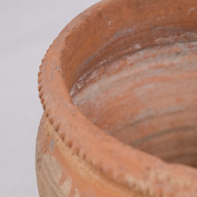 Olive Jar ZK189 (10 h x 31 c)