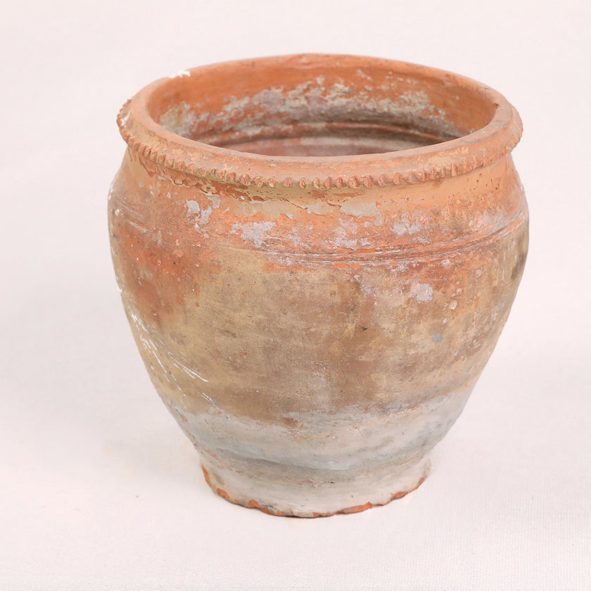 Olive Jar ZK189 (10 h x 31 c)