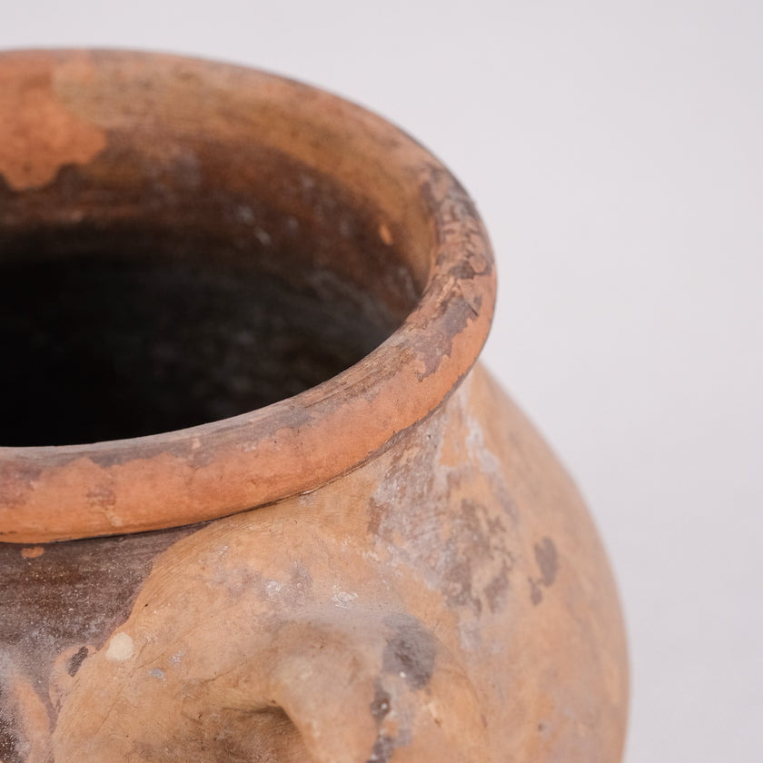 Olive Jar ZK190 (10 h x 31 c)