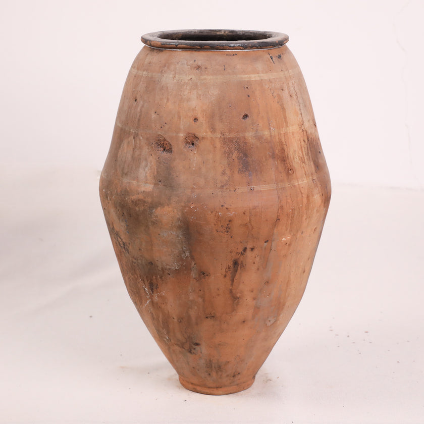 Olive Jar ZK206 (22 h x 44 c)