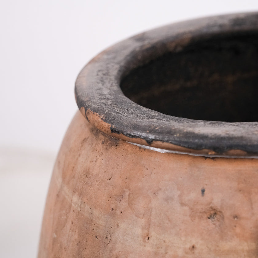 Olive Jar ZK206 (22 h x 44 c)