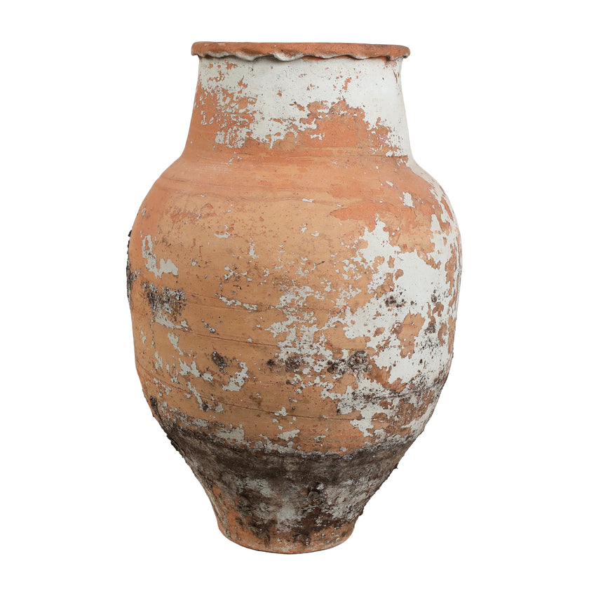 Olive Jar ZK215 (26 h x 57 c)