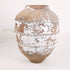Olive Jar ZK216 (24 h x 57 c)