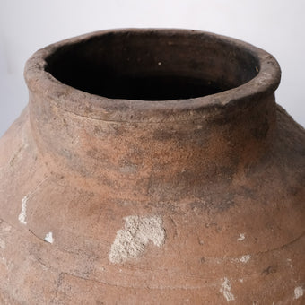Olive Jar ZK226 (27 h x 65 c)