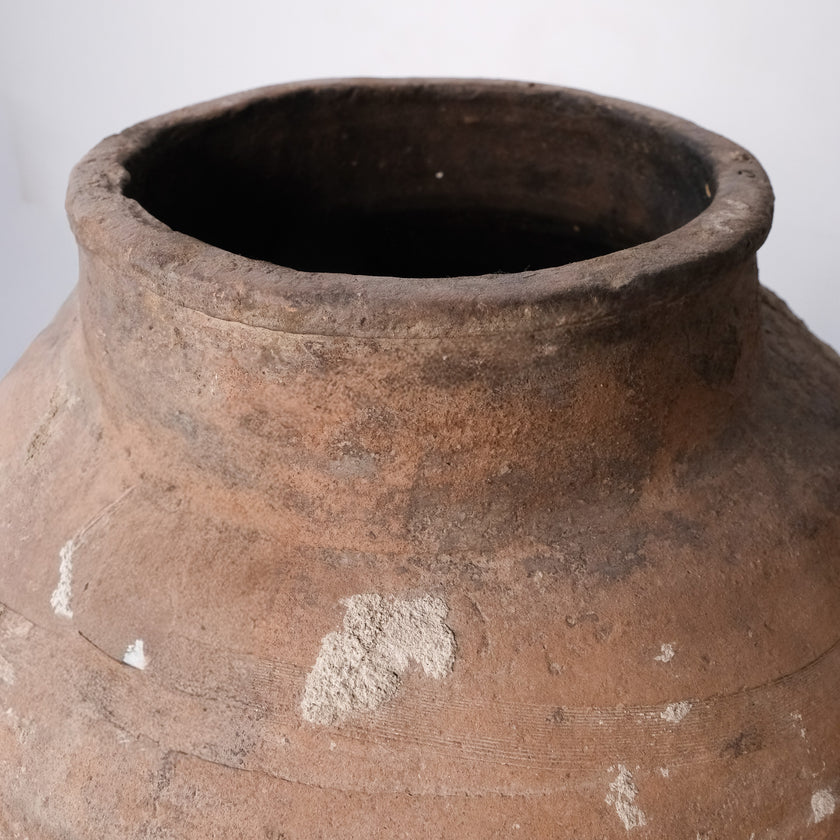 Olive Jar ZK226 (27 h x 65 c)