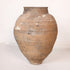 Olive Jar ZK226 (27 h x 65 c)
