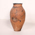 Olive Jar ZK233 (22 h x 40 c)