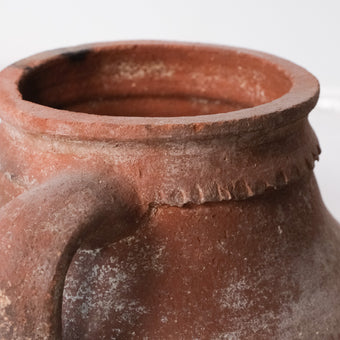 Olive Jar ZK239 (13 h x 31 c)