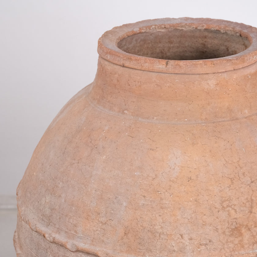 Olive Jar ZK247 (31 h x 63 c)