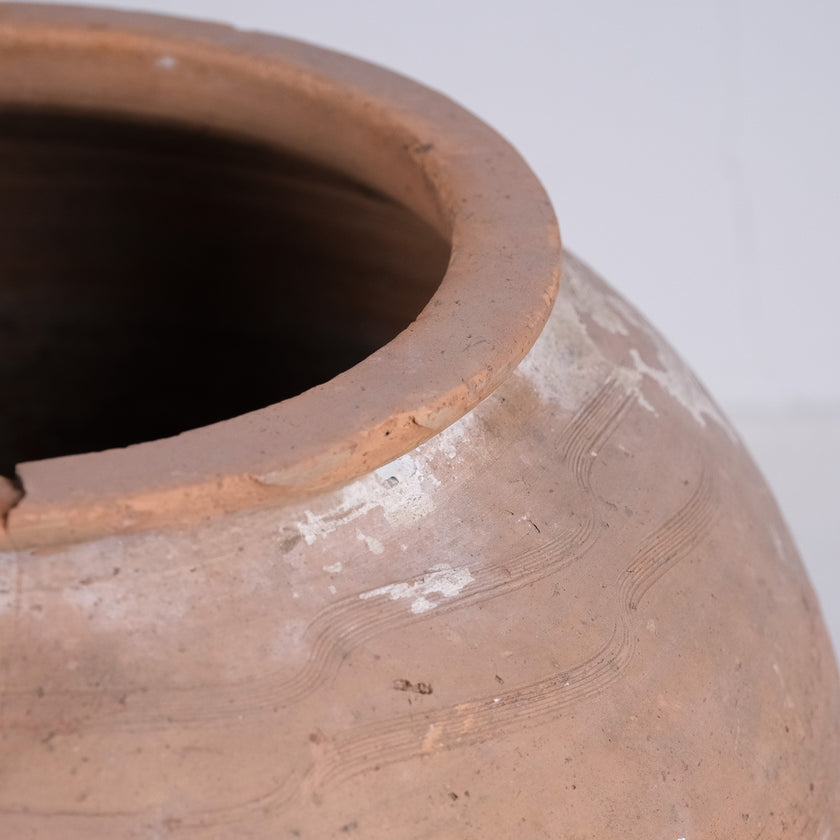 Olive Jar ZK248 (26 h x 57 c)