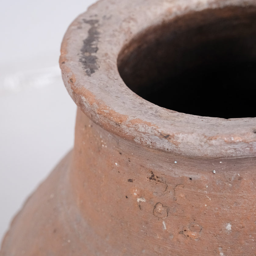 Olive Jar ZK252 (24 h x 52 c)