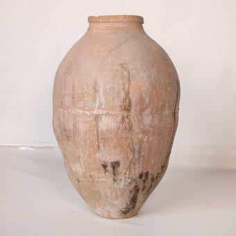 Olive Jar ZK256 (30 h x 59 c)