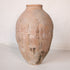 Olive Jar ZK256 (30 h x 59 c)