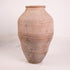 Olive Jar ZK257 (27 h x 54 c)