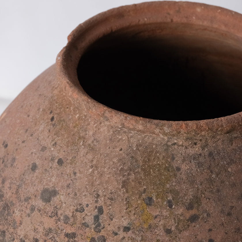 Olive Jar ZK258 (27 h x 60 c)