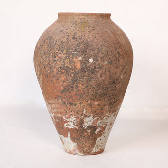 Olive Jar ZK258 (27 h x 60 c)