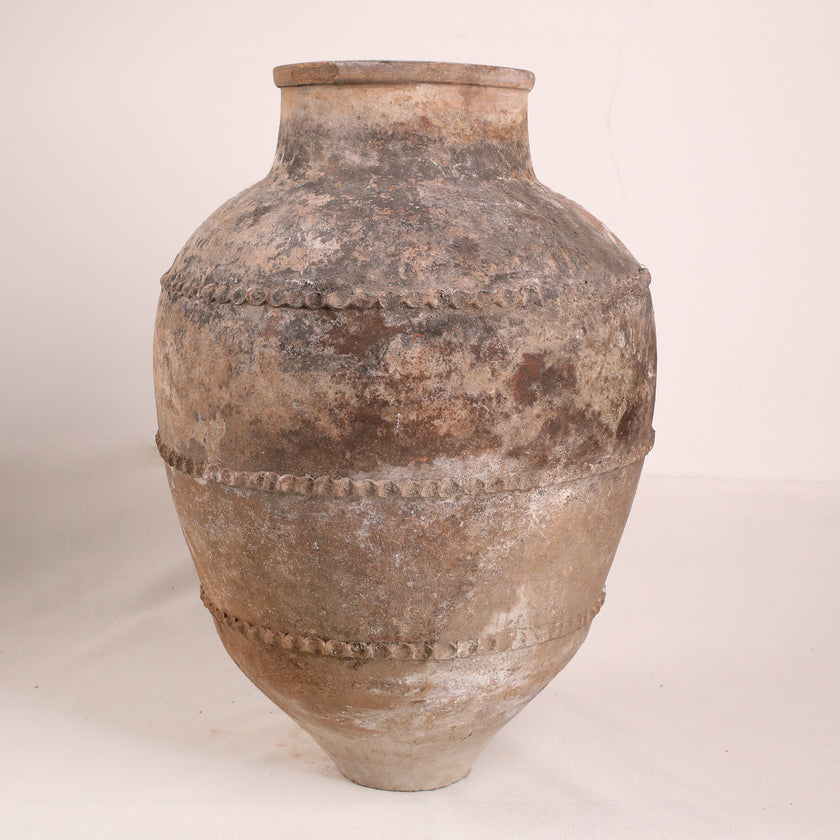 Olive Jar ZK259 (29 h x 66 c)