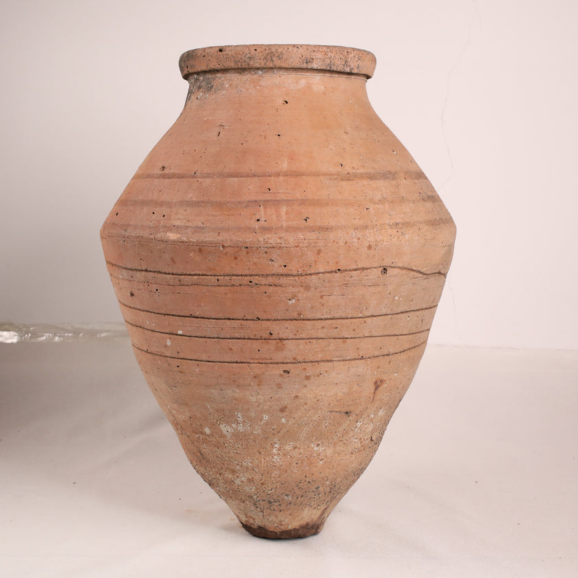 Olive Jar ZK261 (31 h x 76 c)