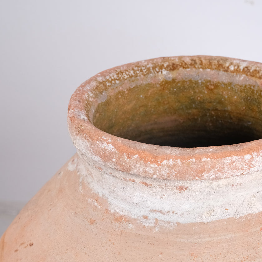 Olive Jar ZK264 (31 h x 74 c)
