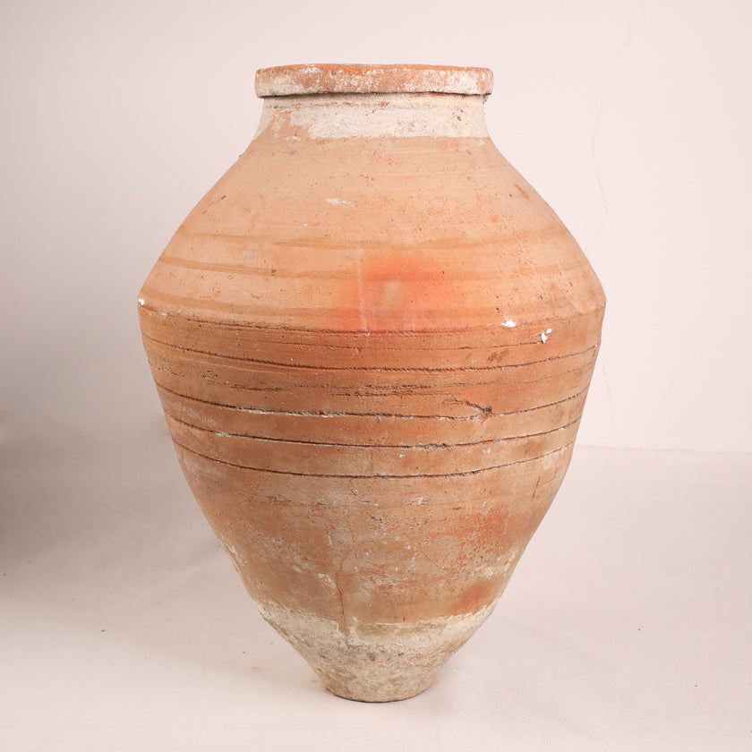 Olive Jar ZK264 (31 h x 74 c)