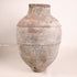 Olive Jar ZK266 (31 h x 70 c)