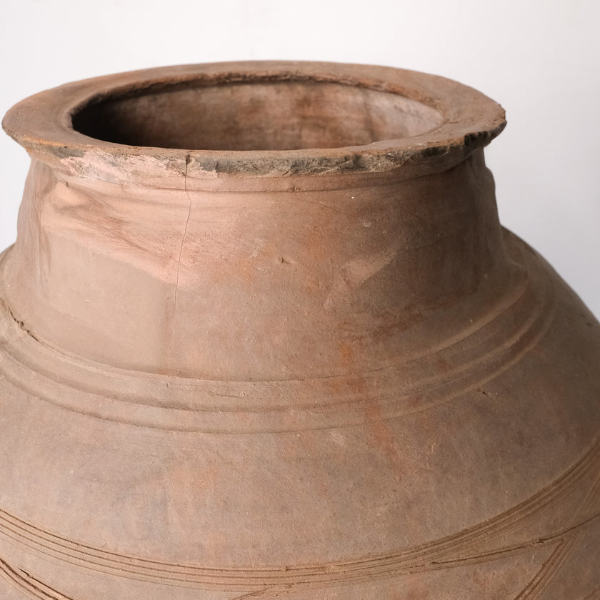 Olive Jar ZK273 (33 h x 73 c)