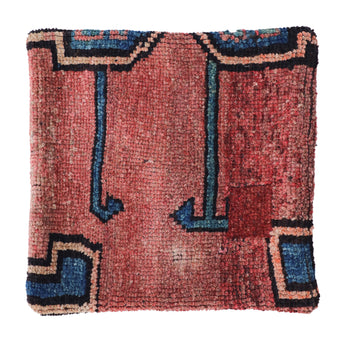 ZP114B Rug Pillow 20x20